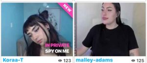 Safe porn Camsites — CamSoda