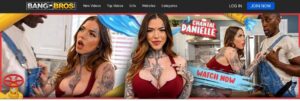 Premium porn sites that accept prepaid cards — BangBros