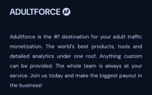 Read more about the article AdultForce Review: An In-depth Review Of The Affiliate Program + Common Pitfalls To Avoid