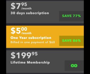 VIPissy subscription plans
