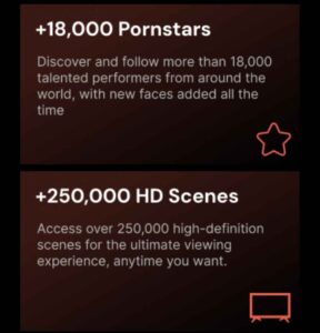 SpiceVids review